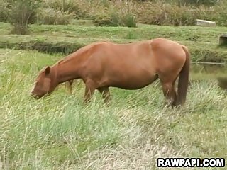 Wild latinos addicted to bareback fucking